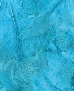 Plumes turquoise - 12 cm - Artemio