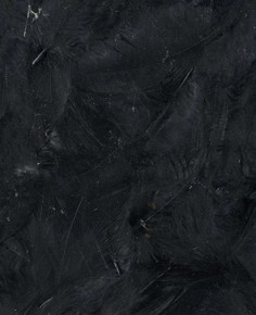 Plumes noires 12 cm - Artemio