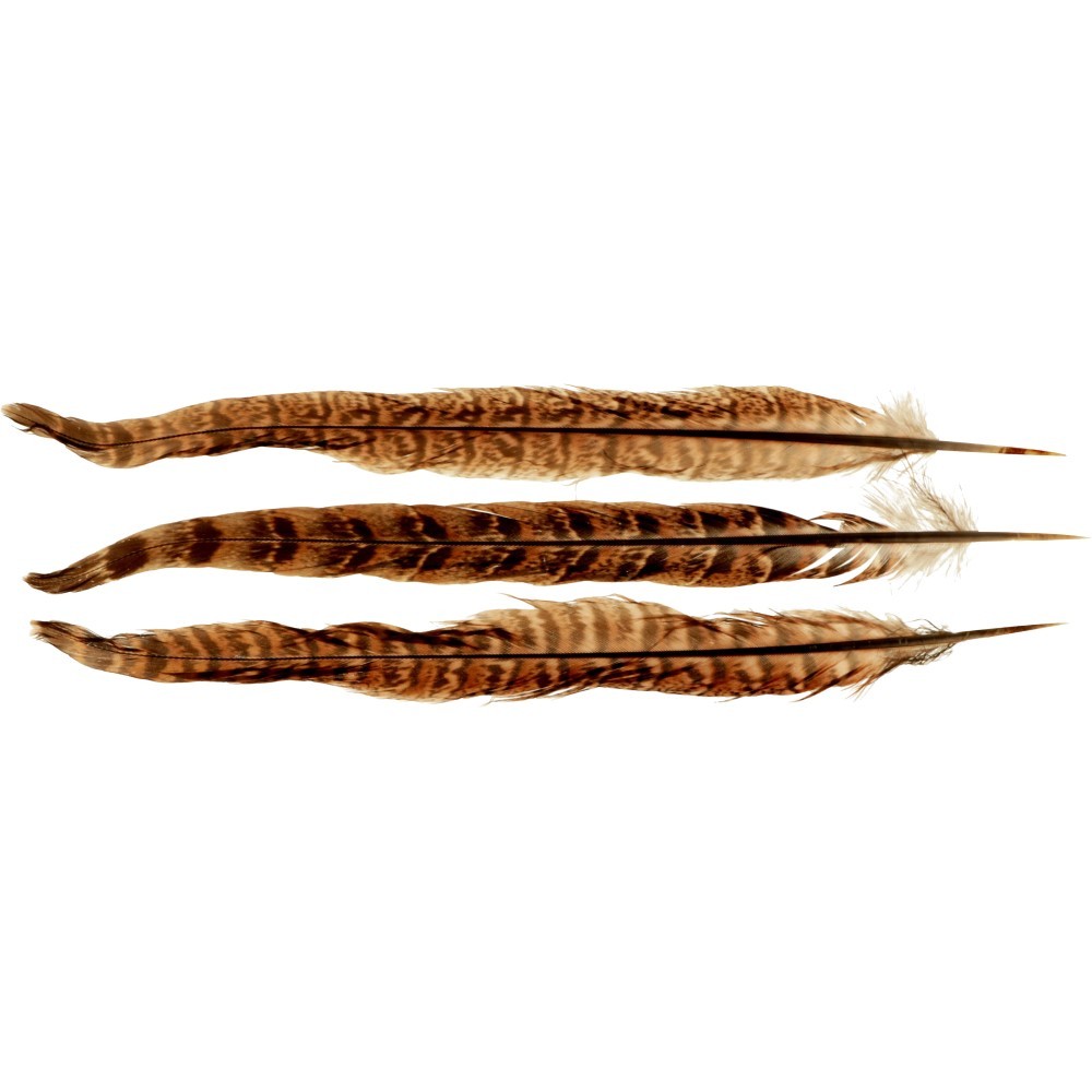 6 plumes naturelles - Artemio