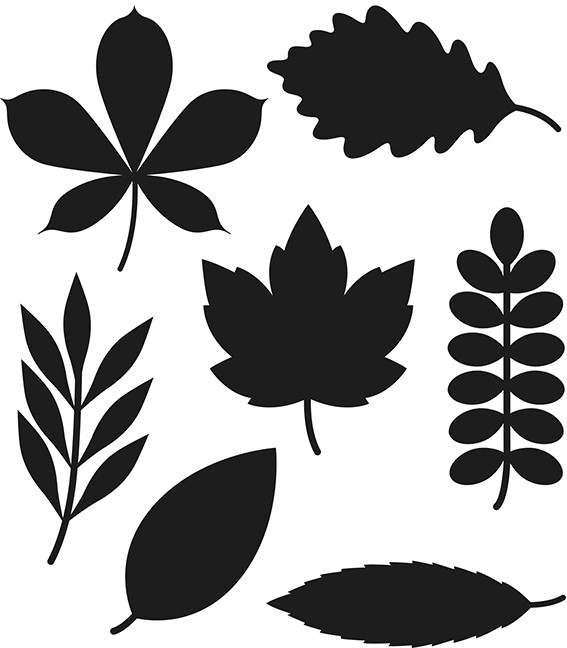 Matrices de découpe feuilles - Artemio