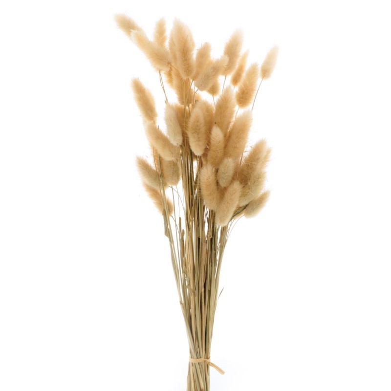 Bouquet de fleurs séchées - Artemio