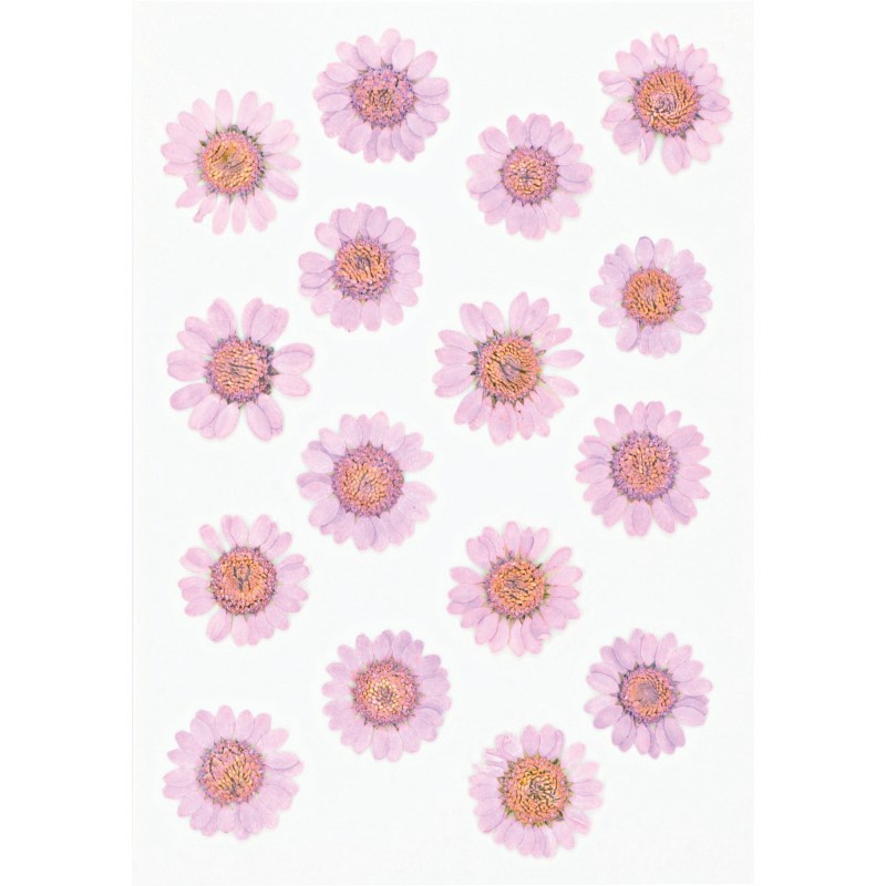 Fleurs séchées pressées - Artemio