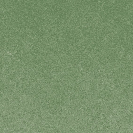 Feuille vert mousse feutre 30x30x0,2 cm - Artemio