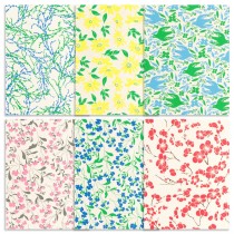 12 papiers népalais  - Artemio