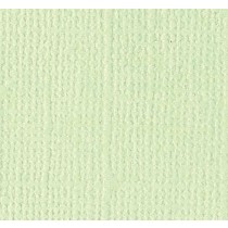 Feuille texturée aloé vera - 30x30 cm - Bazzill
