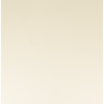 Feuille texturée french vanilla - 30x30 cm - Bazzill