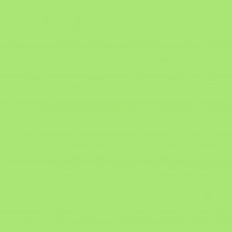 Feuille lisse appletini - 30x30 cm - Bazzill