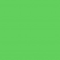 Feuille lisse new leaf - 30x30 cm - Bazzill