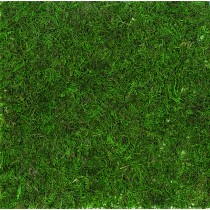 Herbe synthétique - 30x30 cm - Artemio
