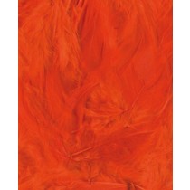 Plumes orange - 12 cm - Artemio