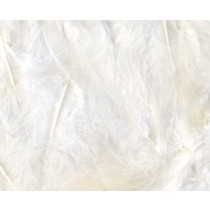 Plumes blanches 12 cm - Artemio