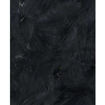 Plumes noires 12 cm - Artemio