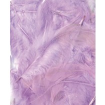 Plumes mauve clair - 12 cm - Artemio