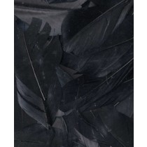 Plumes noires 6 cm - Artemio