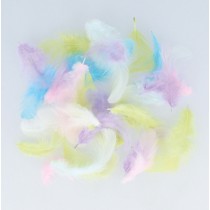 Plumes colorées - 10 gr - Rainbow - Artemio