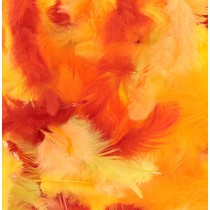 Plumes colorées 10 gr - Artemio