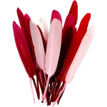 28 plumes colorées - Artemio