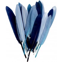 28 plumes colorées - Artemio
