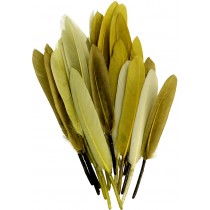 28 plumes colorées - Artemio