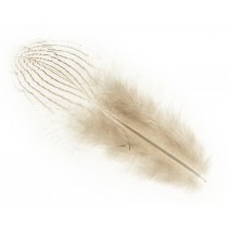 10 plumes colorées - Artemio