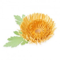 Thinlits die chrysanthemum - Sizzix