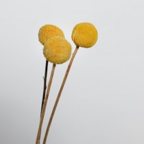 Bouquet de fleurs séchées - Artemio