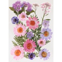 Fleurs séchées pressées - Artemio