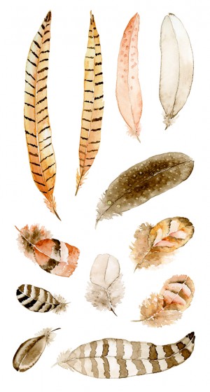 Stickers transparents plumes - Fall in love- Artemio