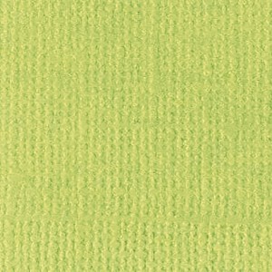 Feuille texturée parakeet - 30x30 cm - Bazzill