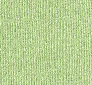 Feuille effet brillant petty cash - 30x30 cm - Bazzill