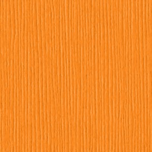 Feuille texturée carrot cake  - 30x30 cm - Bazzill