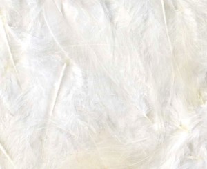 Plumes blanches 12 cm - Artemio