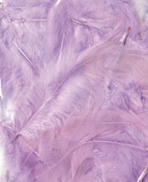 Plumes mauve clair 12 cm - Artemio