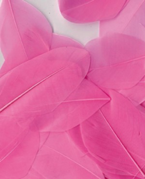 Plumes roses 6 cm - Artemio