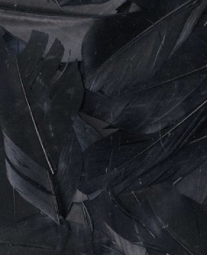 Plumes noires 6 cm - Artemio