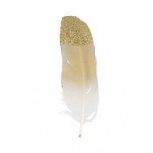 6 plumes dorées 11.5 cm - Artemio