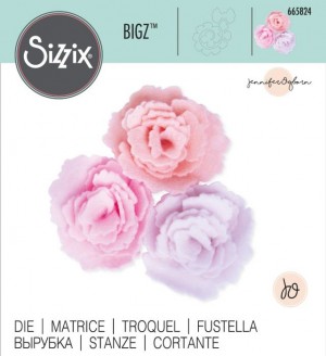 Bigz die cabbage rose- Sizzix