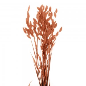Bouquet de fleurs séchées - Artemio