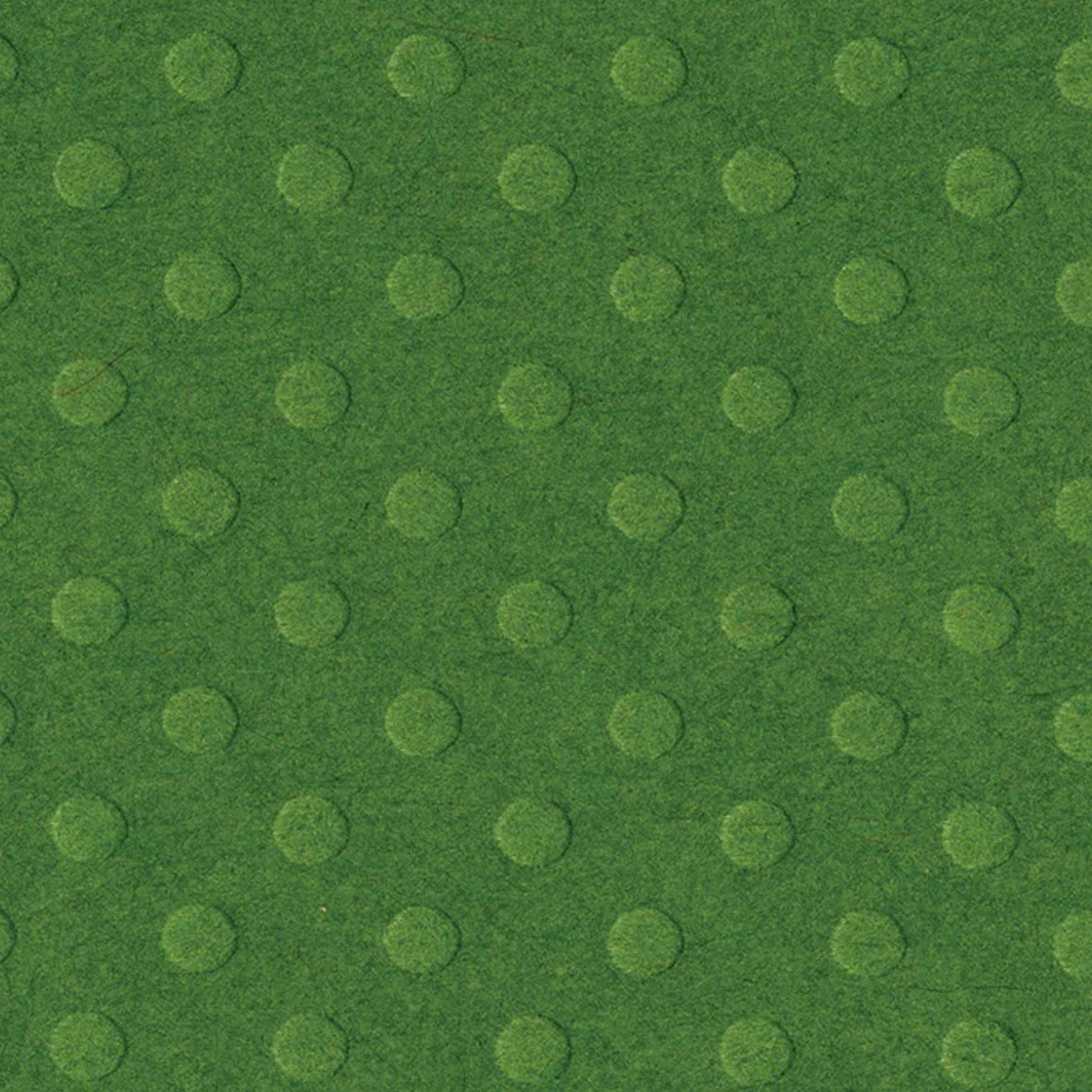 Textuur vel greenbriar - 30x30 cm - Bazzill