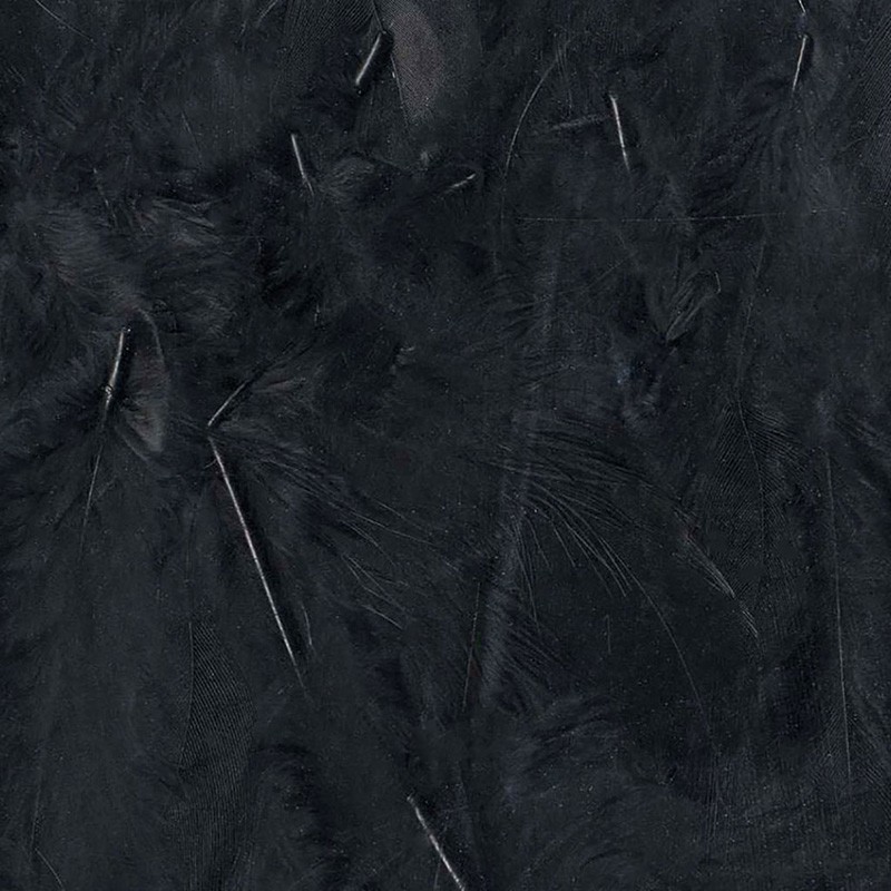 Plumes noires 12 cm - Artemio