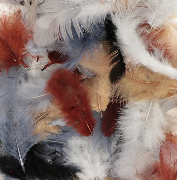 Plumes colorées -10 gr - Artemio