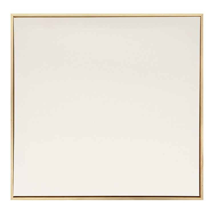 Canvas 49,5x49,5 cm + lijst - Artemio