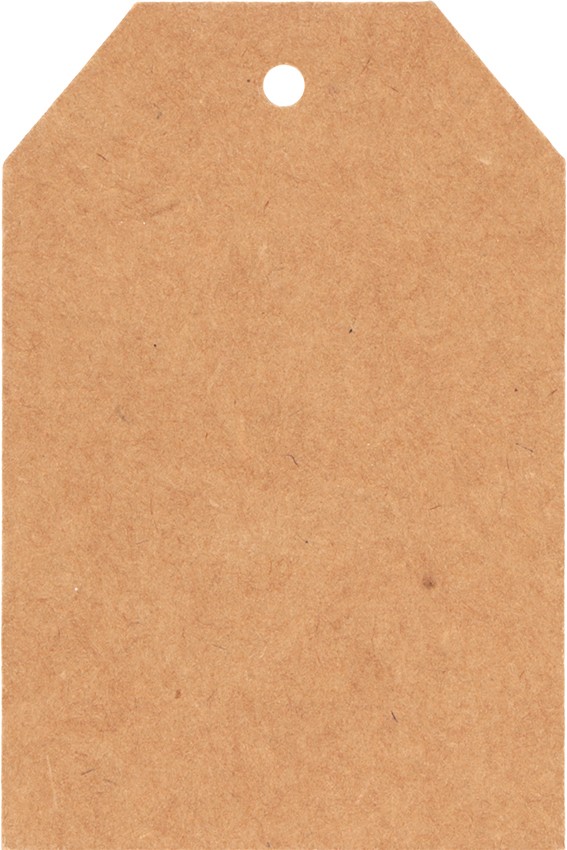50 kraft etiketten 4x6 cm - Artemio