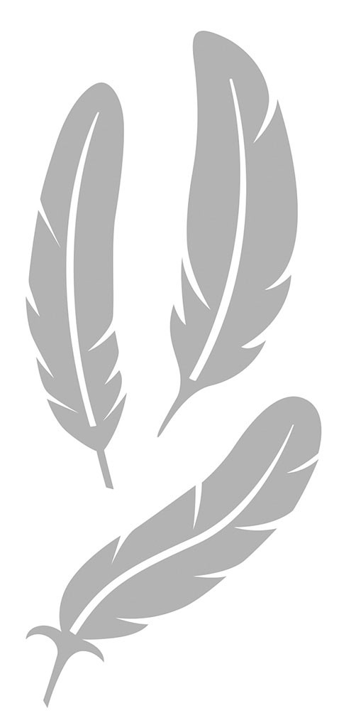 Snijmatrijzen pluimen - Artemio