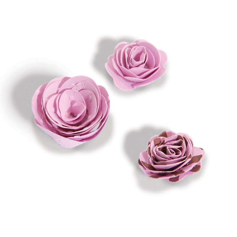 Bigz die fleurs - Sizzix