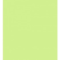 Feuille lisse limelcious- 30x30 cm - Bazzill