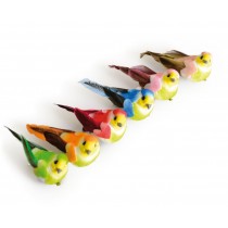 6 kleur vogels op clip - 5x2 cm - Artemio