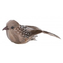 3 bruine vogels op clip - 10x3,5 cm - Artemio