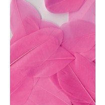 Plumes roses 6 cm - Artemio