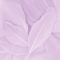 Plumes paars 6 cm - Artemio
